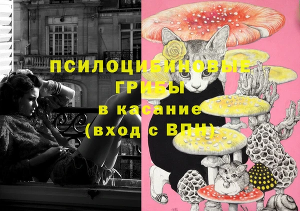 дурь Армянск