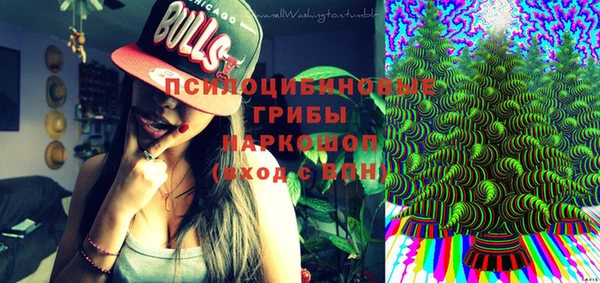 мдпв Арсеньев